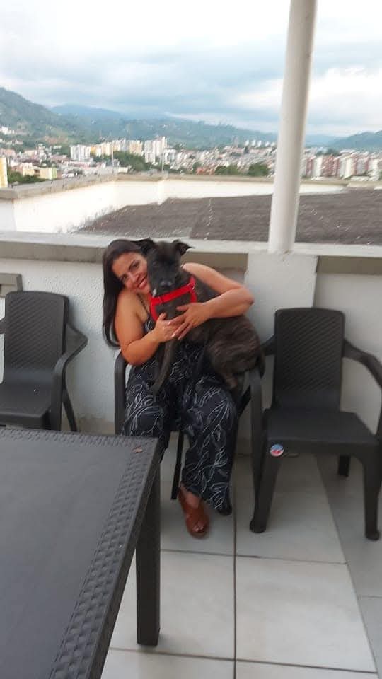 Janneth - Odivelas - Baths and Grooming for Animals