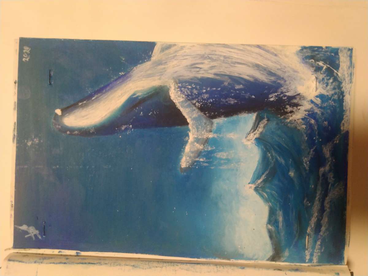 Bárbara Ferreira - Portimão - Aulas de Artes e Trabalhos Manuais