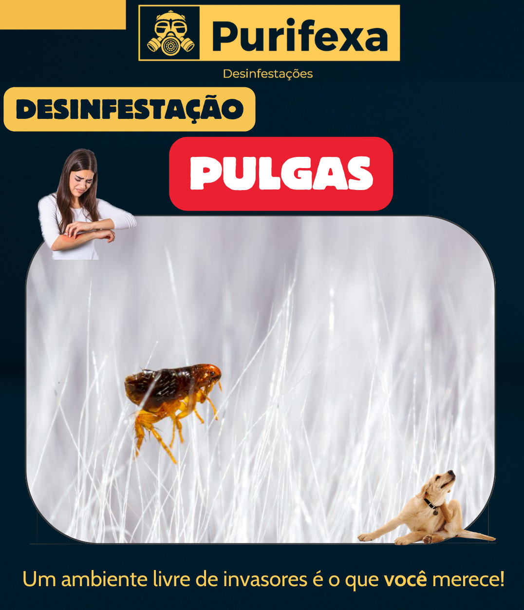 Purifexa - Odivelas - Desinfestação e Desbaratização