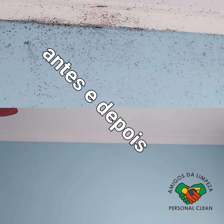Silvia Paula - Seixal - Window Blinds Cleaning
