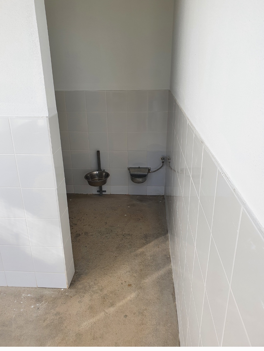 Hotel Canino Lareão em Constância - Constância - Cuidados para Animais de Estimação