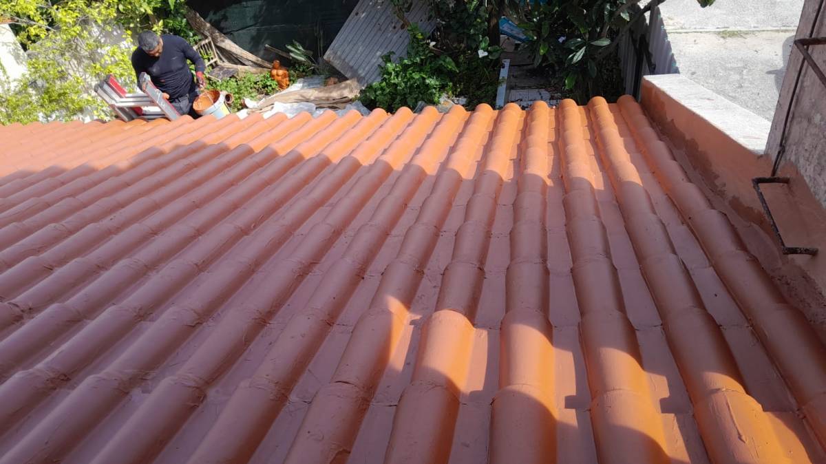Roof Repair or Maintenance