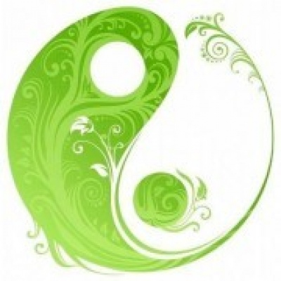 Noélia Fernandes-terapeuta - Albufeira - Alternative Healing and Hypnoteraphy