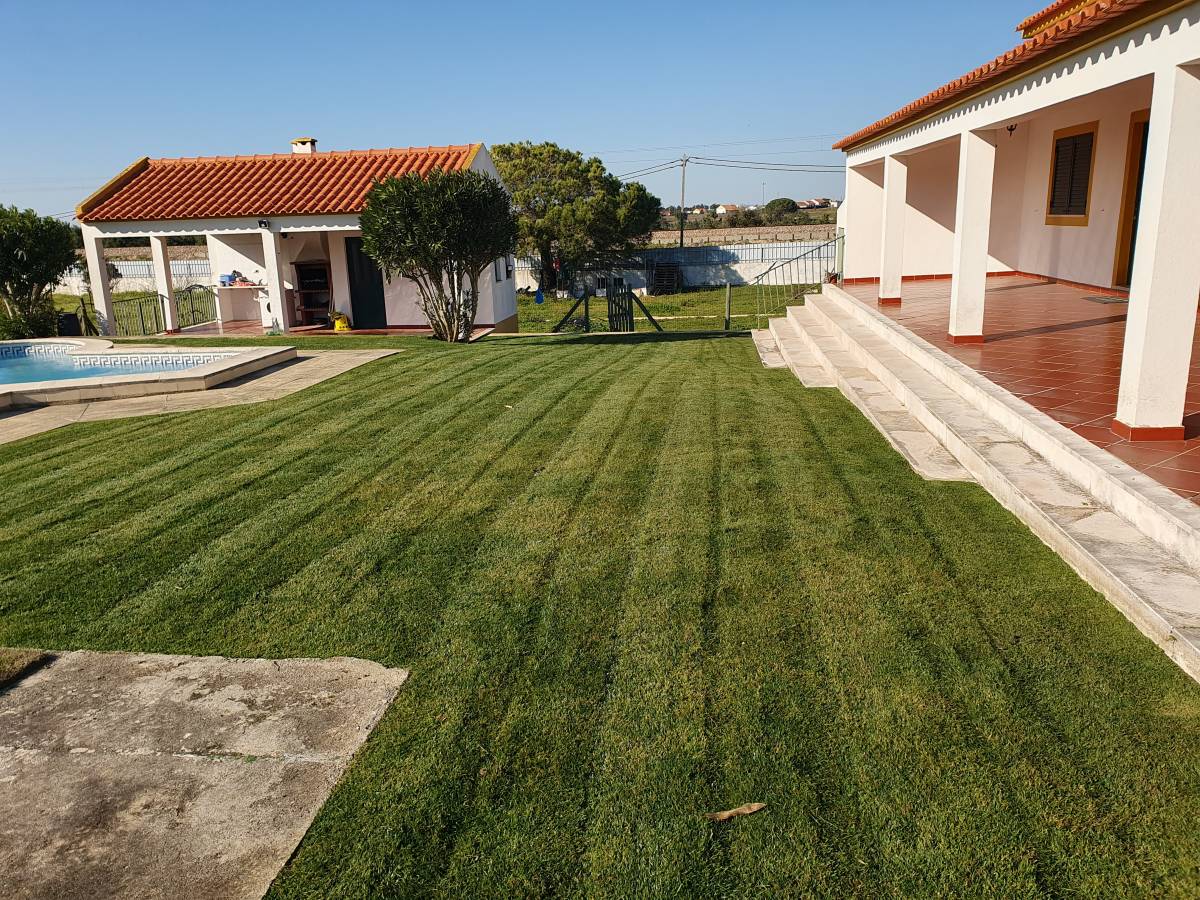 Zé Jardins - Lisboa - Poda e Manutenção de Árvores