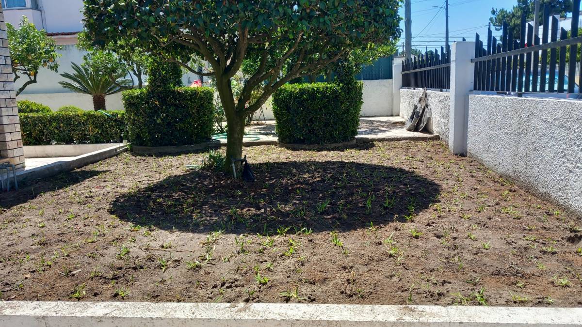 Luiz - Sesimbra - Gardening