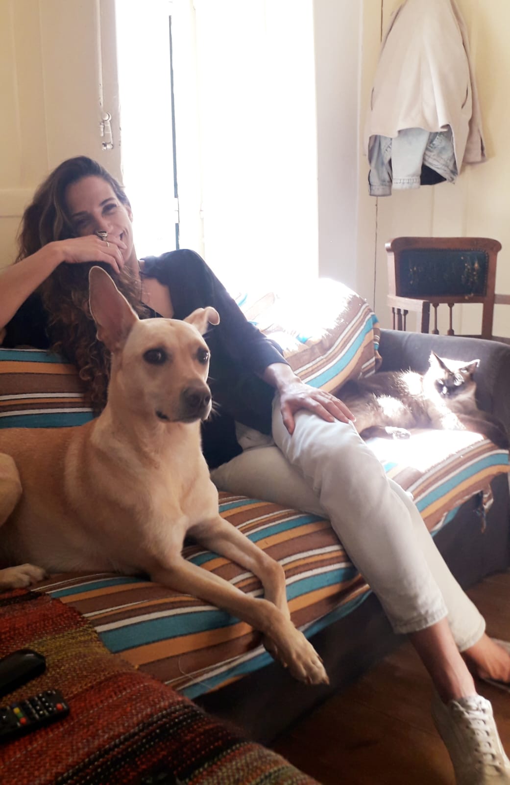 Quinoa Pet Care - Lisboa - Paseador de perros