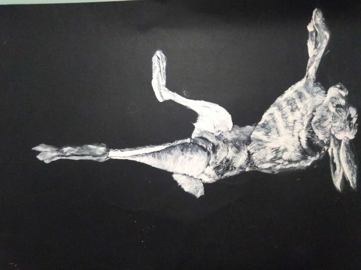 Bárbara Ferreira - Portimão - Aulas de Escultura