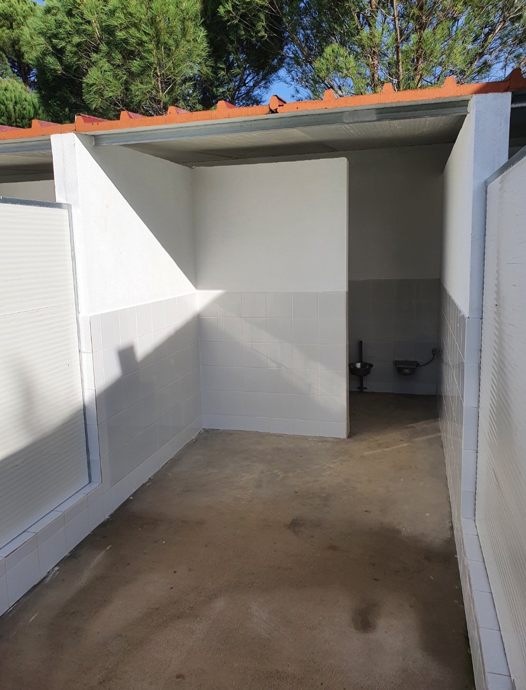 Hotel Canino Lareão em Constância - Constância - Hotel para Gatos