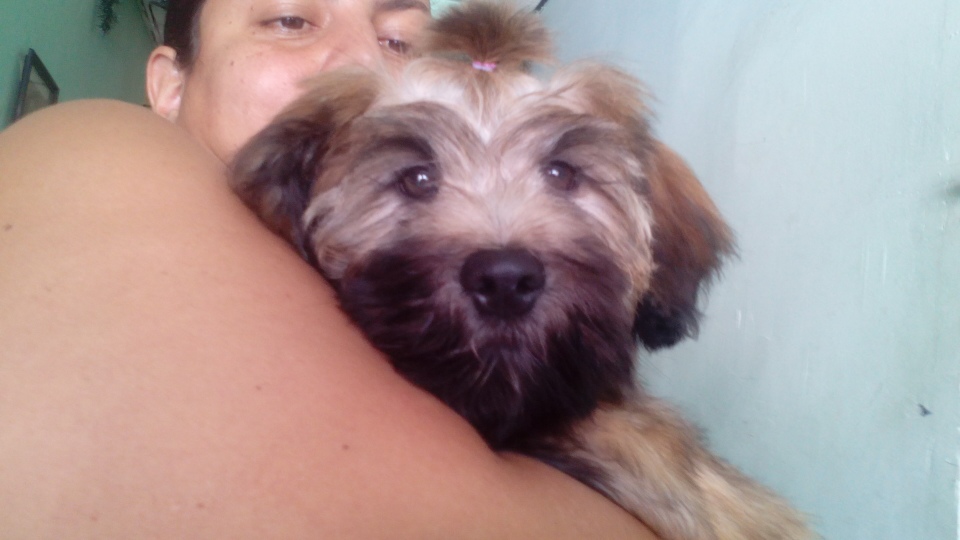 Janneth - Odivelas - Pet Care and Grooming