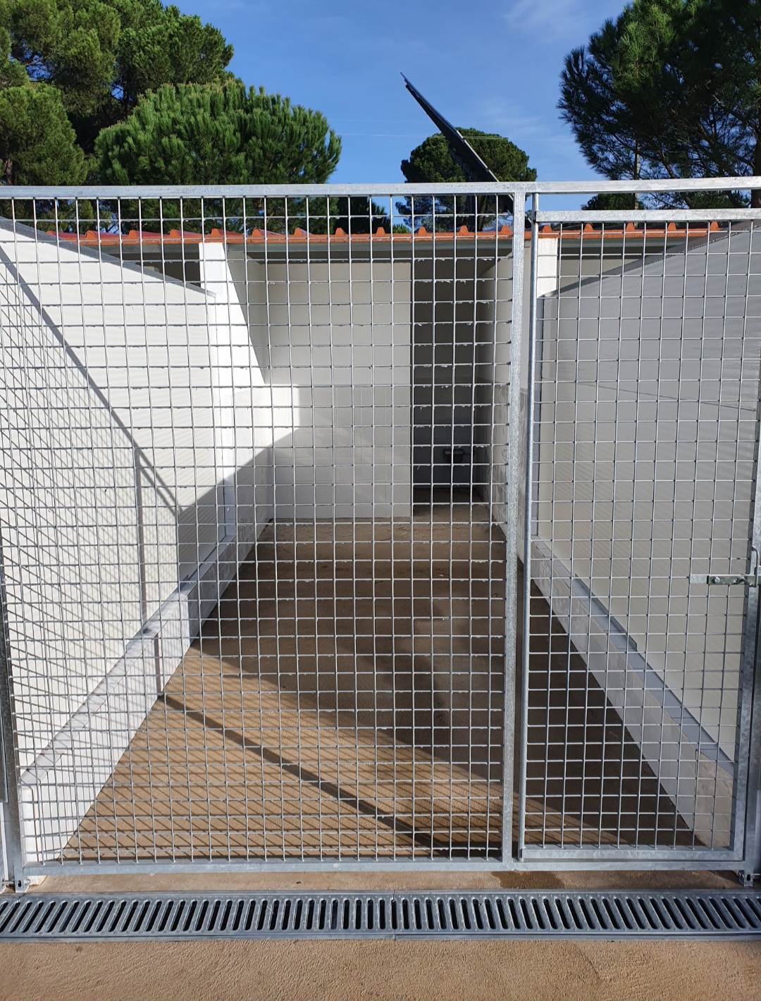 Hotel Canino Lareão em Constância - Constância - Creche para Cães