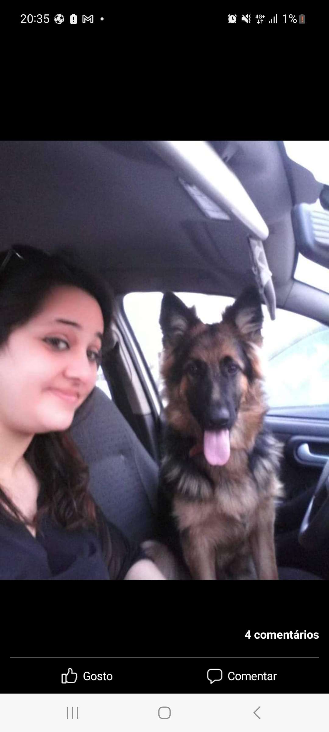 Ana cardoso - Salvaterra de Magos - Dog Hotel