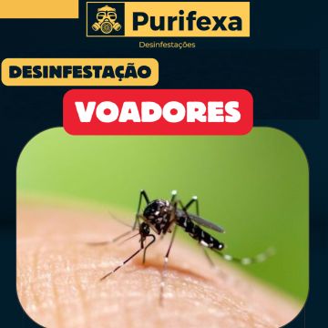 Purifexa - Odivelas - Controlo de Pragas