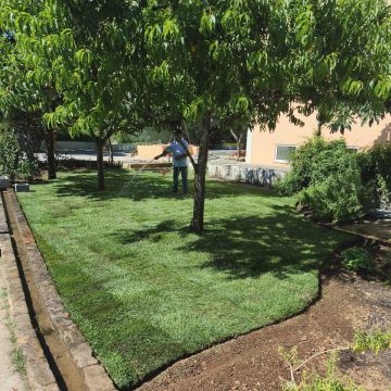 Jardinagens Martins - Santarém - Servicios de invernadero