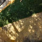 Luiz - Sesimbra - Tree Planting