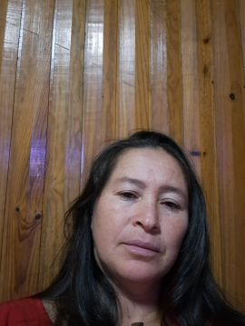 Limpeza e cozinha - Aveiro - Haushalt organisieren