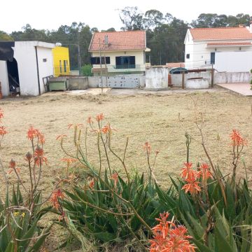 Luiz - Sesimbra - Shrub Removal
