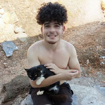Rafa&Animais - Lisboa - Dog Walking