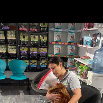 Janneth - Odivelas - Pet Care and Grooming