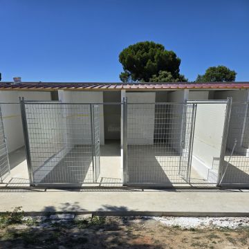 Hotel Canino Lareão em Constância - Constância - Hotel para Cães