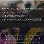 Rita Almeida - Setúbal - Dog Walking