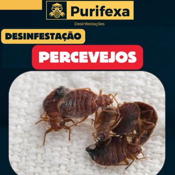 Purifexa - Odivelas - Controlo de Pragas