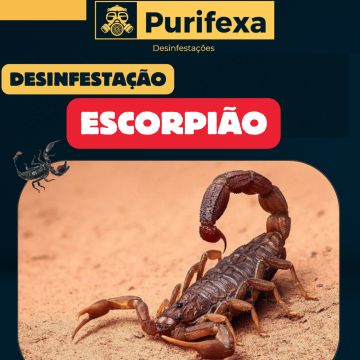 Purifexa - Odivelas - Desbaratização