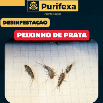 Purifexa - Odivelas - Empresas de Desinfestação