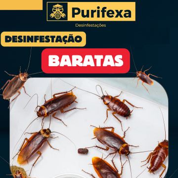 Purifexa - Odivelas - Empresas de Desinfestação