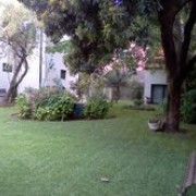 Figueiras-Garden Solutions - Póvoa de Varzim - Tratamento de Relvado (Recorrente)