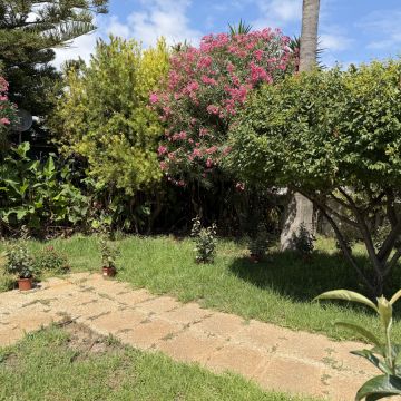 TiagoCorreia Home Solutions - Loulé - Enlèvement de souches d’arbres