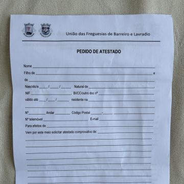 Rosilene santos - Barreiro - Cuidados para Animais de Estimação