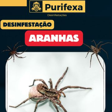 Purifexa - Odivelas - Desbaratização