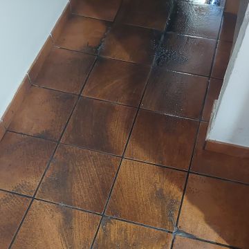 Empresa da Sofia e Comp. - Nisa - Organização da Casa