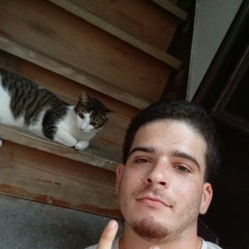 Rafa&Animais - Lisboa - Pet Sitting and Walking