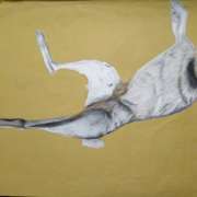 Bárbara Ferreira - Portimão - Aulas de Artes e Trabalhos Manuais