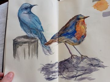 Isabel Silva - Maia - Drawing Lessons