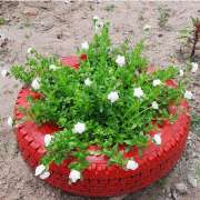 Luiz - Sesimbra - Lawncare