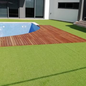Jardinagens Martins - Santarém - Eliminación de arbustos