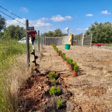 Jardinagens Martins - Santarém - Mantenimiento del sistema de riego por goteo