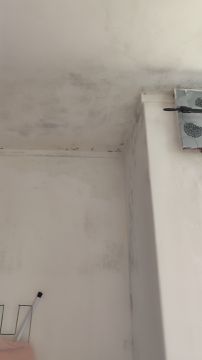 Pintor de Casas - Casa