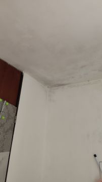 Pintura