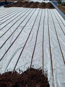 Figueiras-Garden Solutions - Póvoa de Varzim - Multi Service Lawn Care