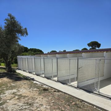 Hotel Canino Lareão em Constância - Constância - Banhos e Tosquias para Animais