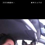 Ana cardoso - Salvaterra de Magos - Dog Hotel