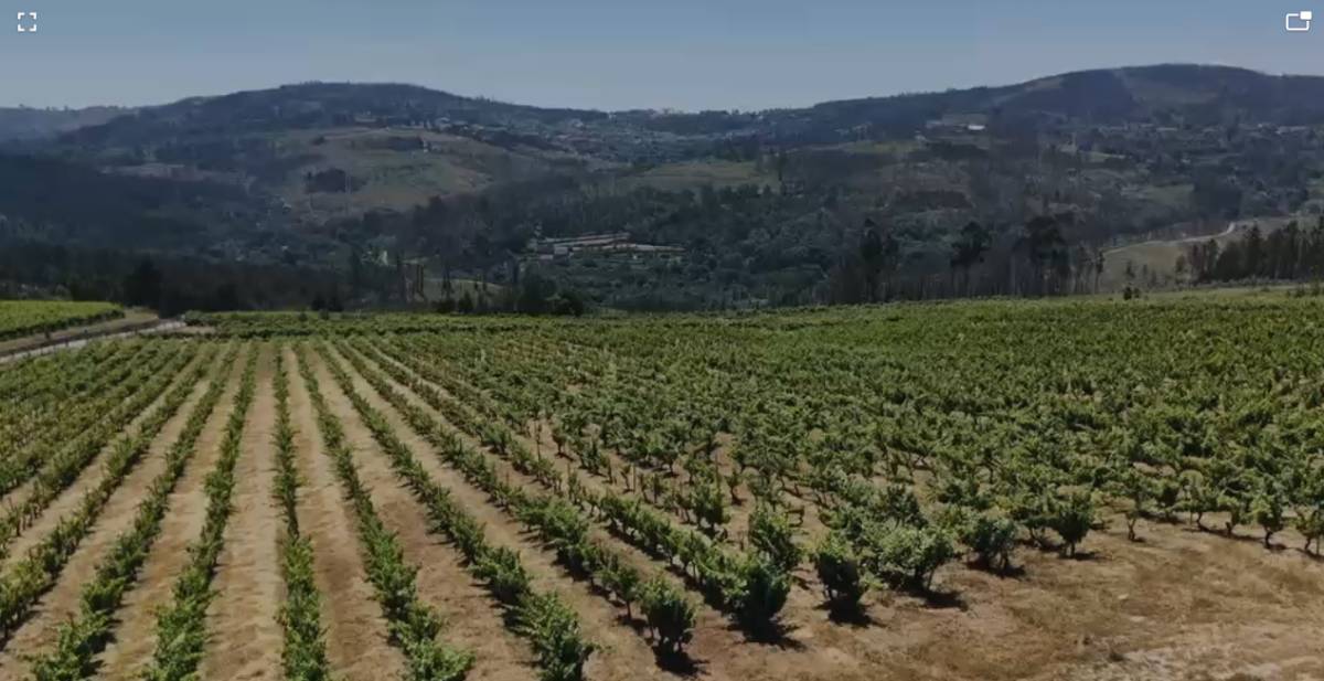 Pinhacorada- Unipessoal, Lda - Mortágua - Gardening