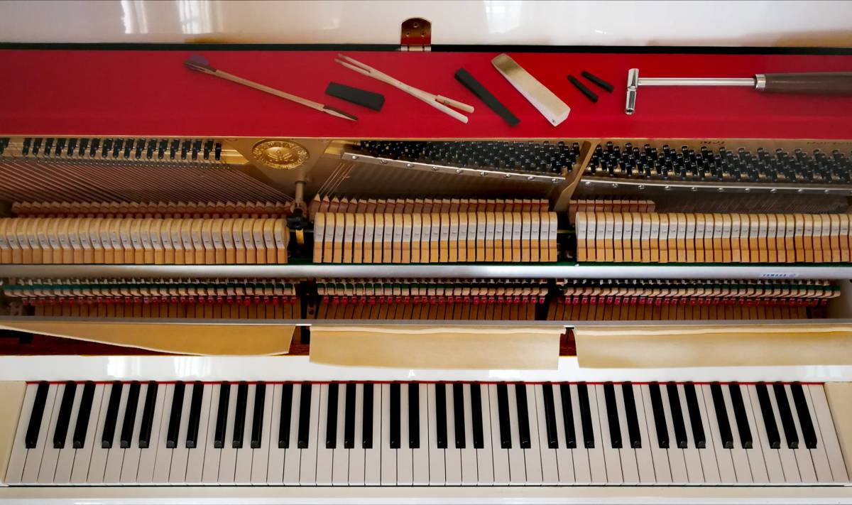 Afinador de pianos / Piano tuner Fernando Leao - Portimão - Reparação de Instrumentos Musicais