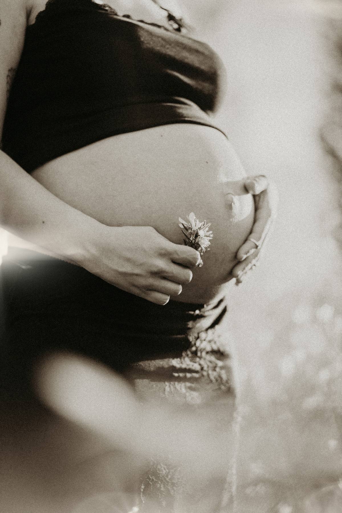 Janine Oliveira Studio - Alcobaça - Presentation Services