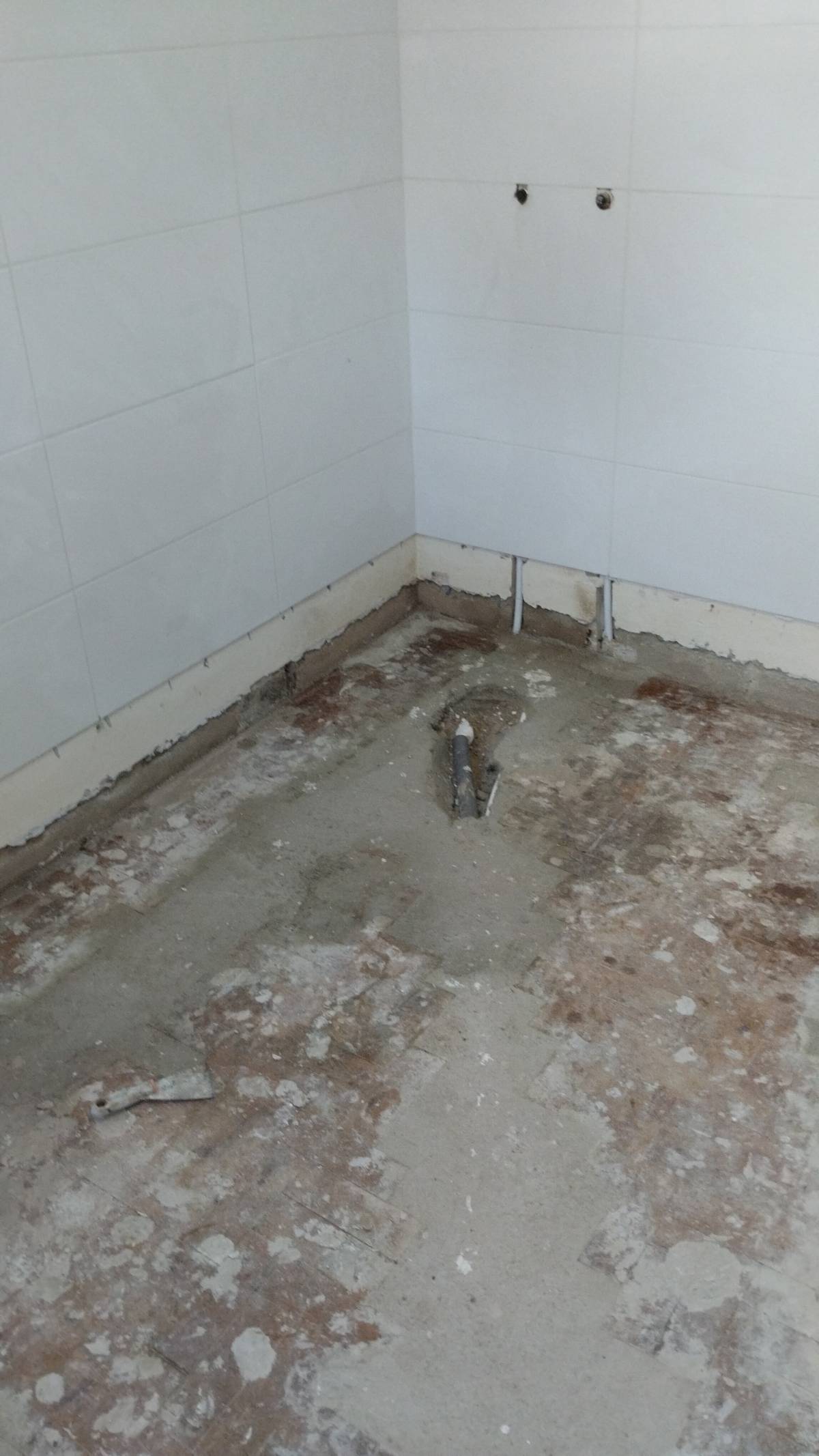 ELITE REMODELAÇÕES - Rio Maior - Roof Cleaning