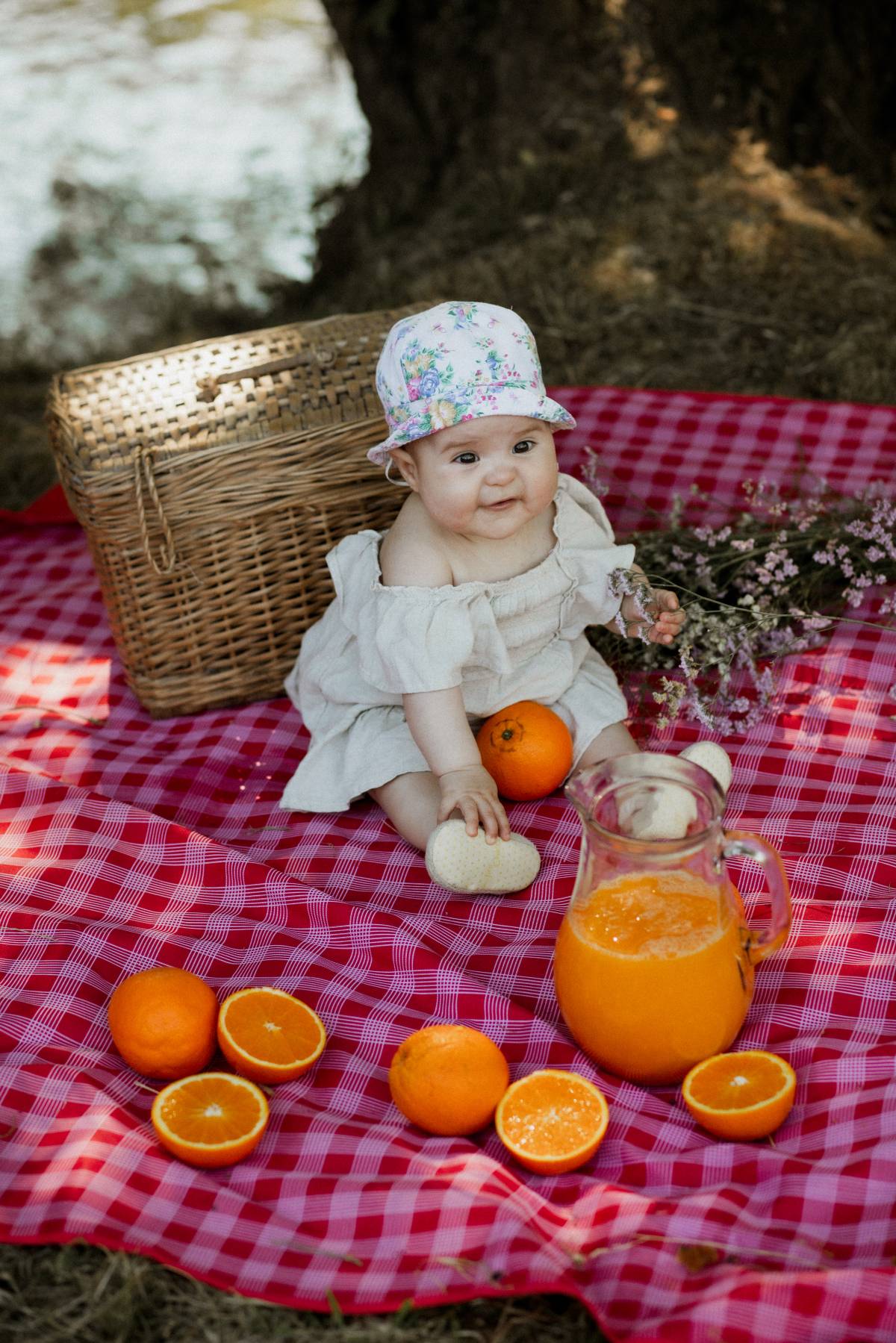 Janine Oliveira Studio - Alcobaça - Event Photography