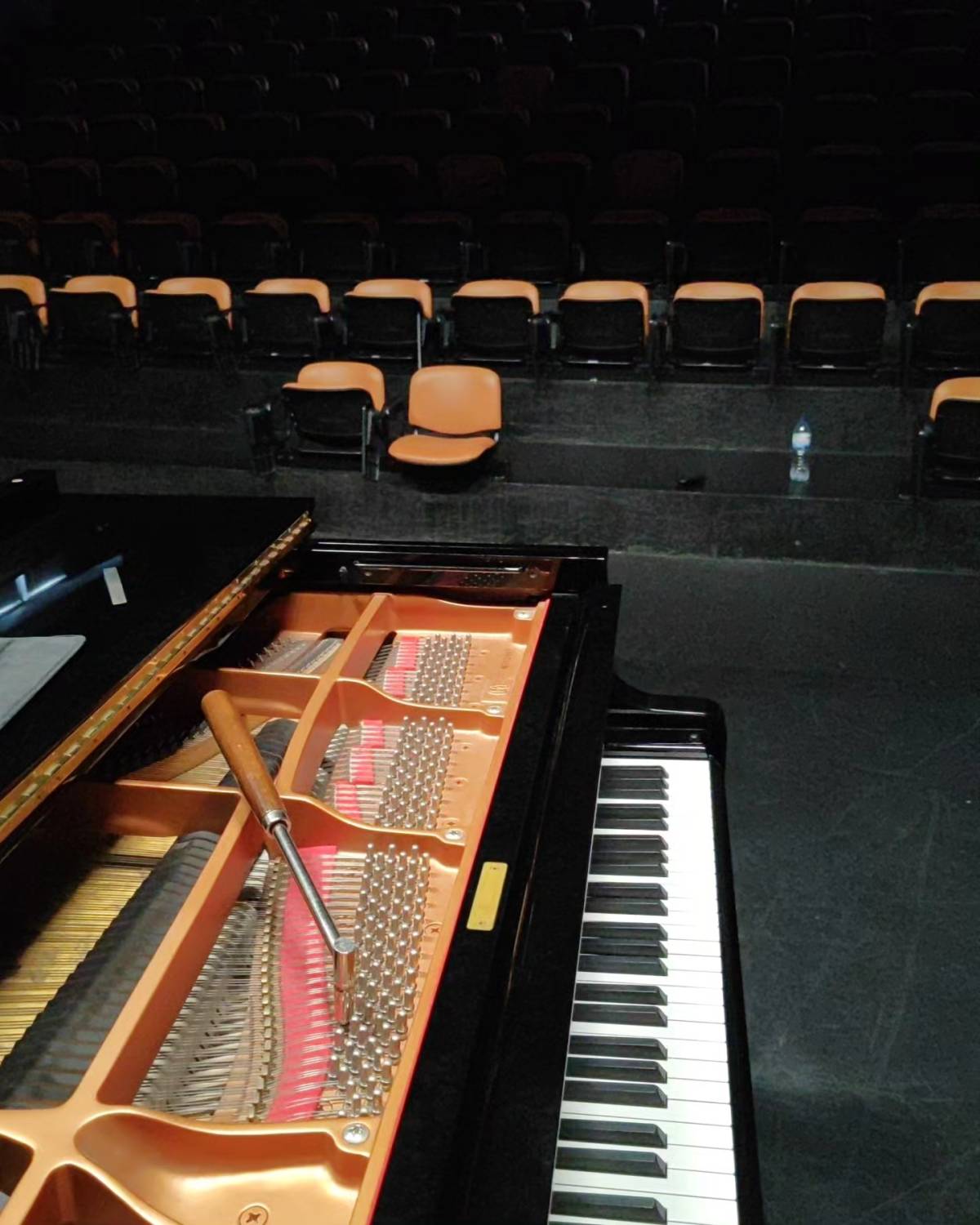 Afinador de pianos / Piano tuner Fernando Leao - Portimão - Reparação e Assist. Técnica de Equipamentos